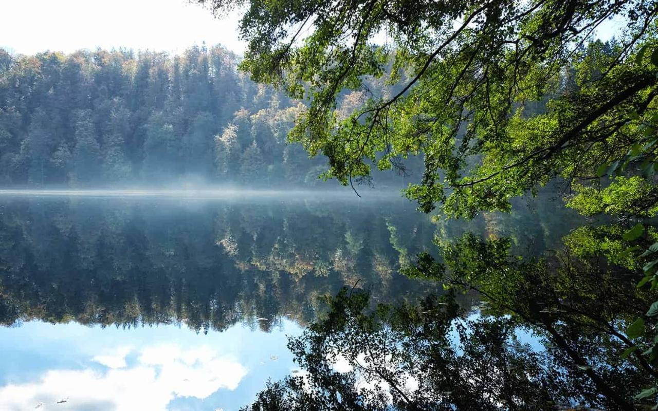 Ferienwohnung In Der Vulkaneifel "Opp Der Holl" Brockscheid Εξωτερικό φωτογραφία
