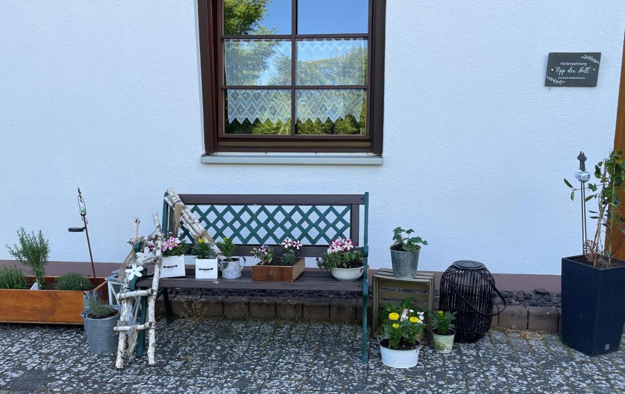 Ferienwohnung In Der Vulkaneifel "Opp Der Holl" Brockscheid Εξωτερικό φωτογραφία