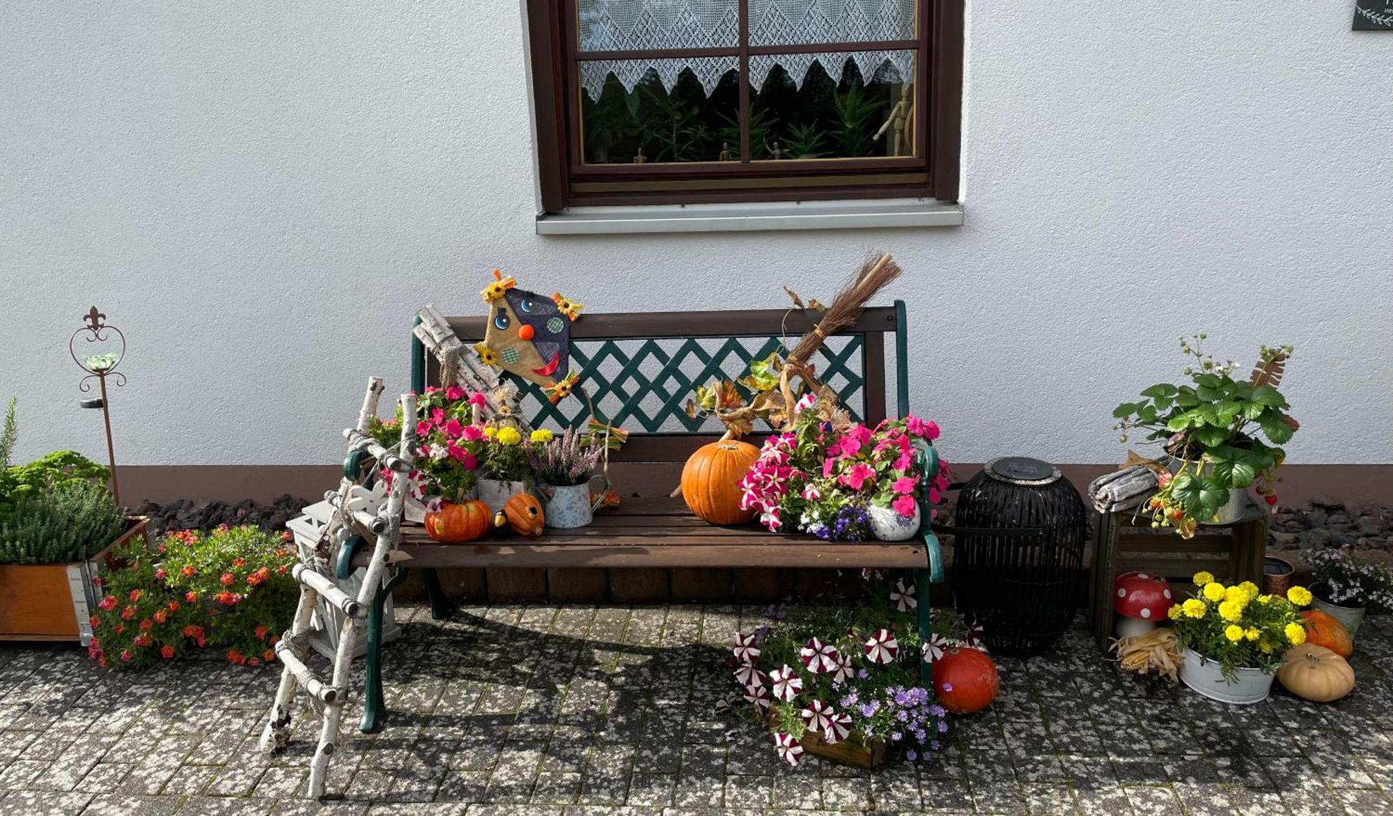 Ferienwohnung In Der Vulkaneifel "Opp Der Holl" Brockscheid Εξωτερικό φωτογραφία